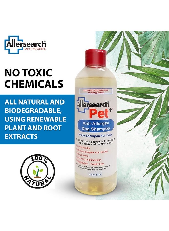 أليرسيرتش - شامبو Allersearch Pet+ المضاد للحساسية للكلاب سعة 16 أونصة - Image 1