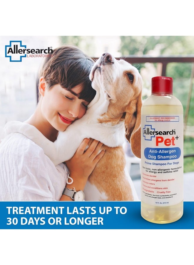 أليرسيرتش - شامبو Allersearch Pet+ المضاد للحساسية للكلاب سعة 16 أونصة - Image 1
