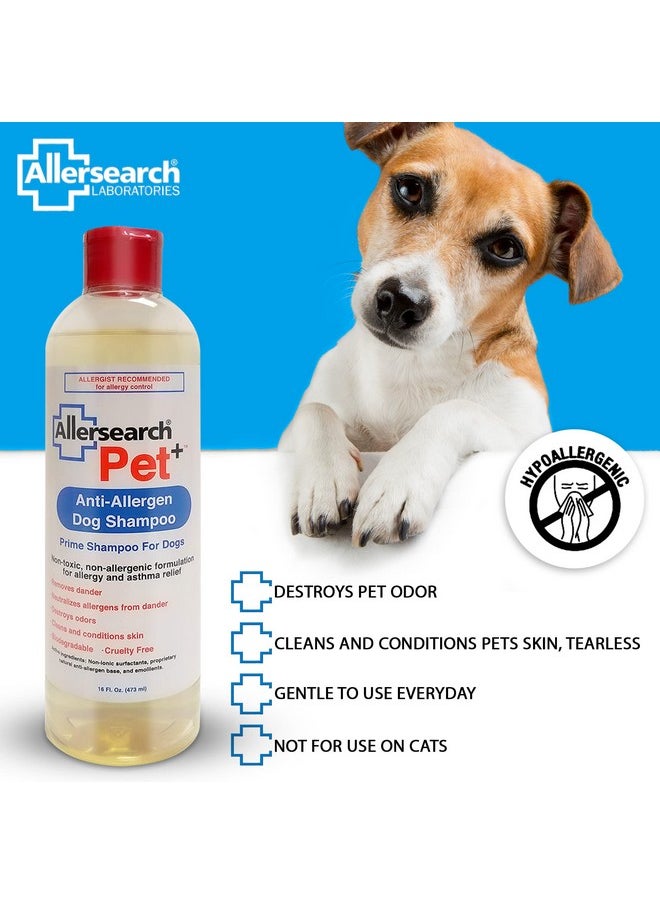 أليرسيرتش - شامبو Allersearch Pet+ المضاد للحساسية للكلاب سعة 16 أونصة - Image 1