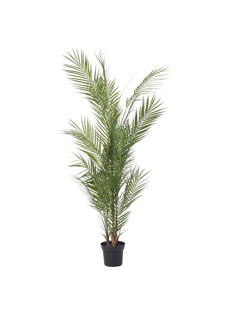 FEJKA Artificial Potted Plant Indoor & Outdoor Kentia Palm 15 Cm