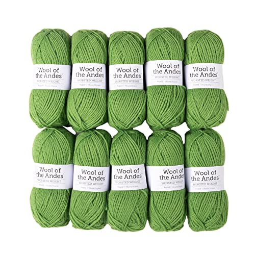 KnitPicks Knit Picks Wool of The Andes Worsted Weight Green 100 Wool Yarn Multi Pack 10 Balls Peapod - Image 1
