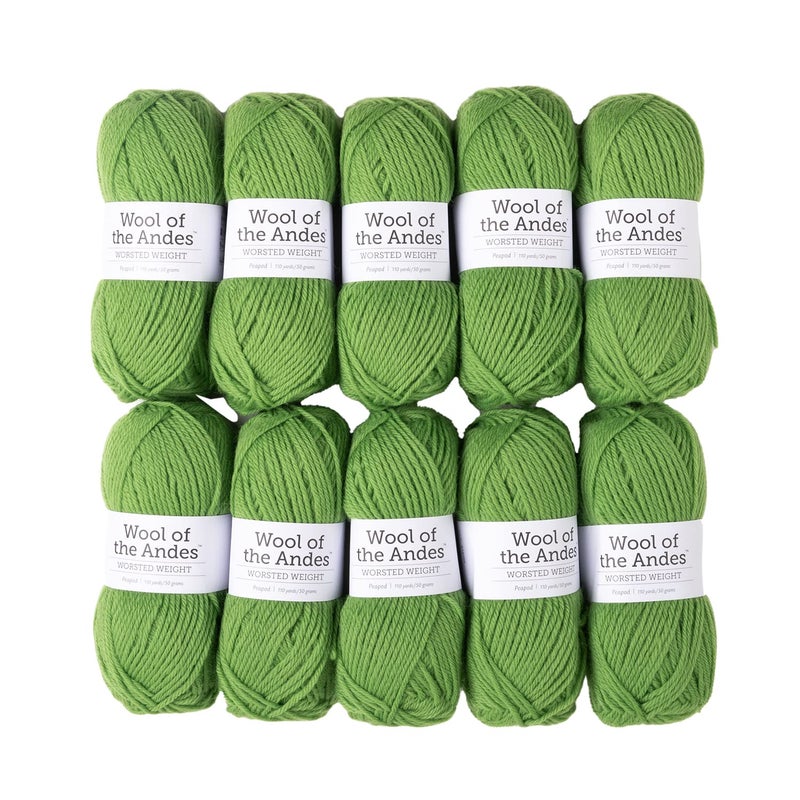 KnitPicks Knit Picks Wool of The Andes Worsted Weight Green 100 Wool Yarn Multi Pack 10 Balls Peapod - Image 2