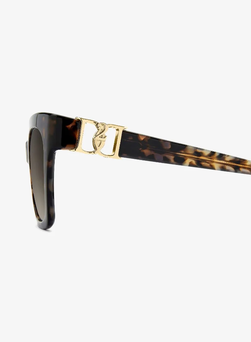 Dsquared2  DSQUARED2 D2 0207/S Sunglasses Multicolour Cat Eye  | Best Price UAE
