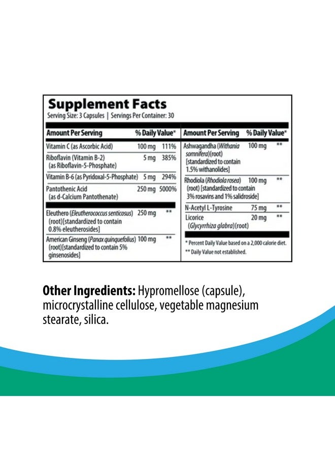 Rootcology by Dr. Izabella Wentz | Adrenal Support | Adaptogenic Herbal Formula with Vitamin B6, Licorice & N-Acetyl-L-Tyrosine | 90 Capsules - Image 1