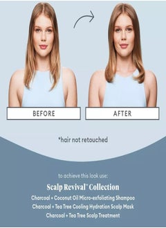 Briogeo Briogeo Scalp Revival Soothing Solutions Value Set – Charcoal + Tea Tree Hair & Scalp Care Kit  - Image 2