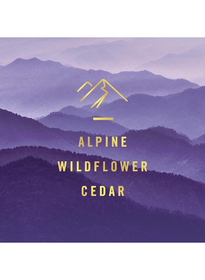 Febreze Plug In Air Freshener, Odor-Fighting Scented Oil Refill, Air Fresheners for Home and Bathroom and Kitchen, Long Lasting for Strong Odors, Ocean & Mountain Scents, 0.87oz Refills, 4 Count - Image 3