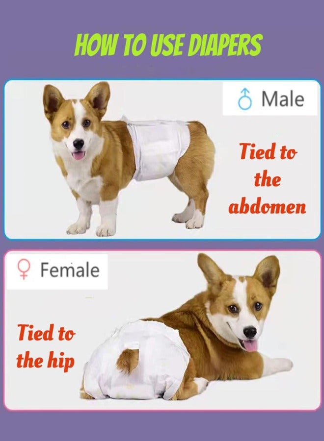 Generic Disposable Pet Diapers Super Absorbent Soft Diapers For Female Dogs, Super Absorbent Soft Hygienic Panties With Adjustable Tail Hole, Soft Leak-Proof Diapers For Pet Dogs  - Image 5