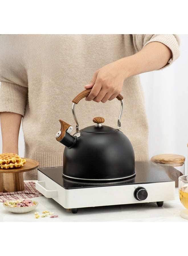 Black Whistle Kettle To Make Coffee To Make Milk Sound Boiling Kettle 2.5L Spray Color Sound Kettle Stove Universal-Color:Black-Capacity:2.5L - Image 3
