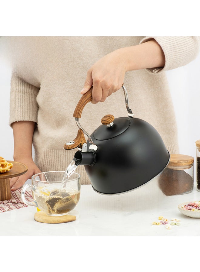 Black Whistle Kettle To Make Coffee To Make Milk Sound Boiling Kettle 2.5L Spray Color Sound Kettle Stove Universal-Color:Black-Capacity:2.5L - Image 2