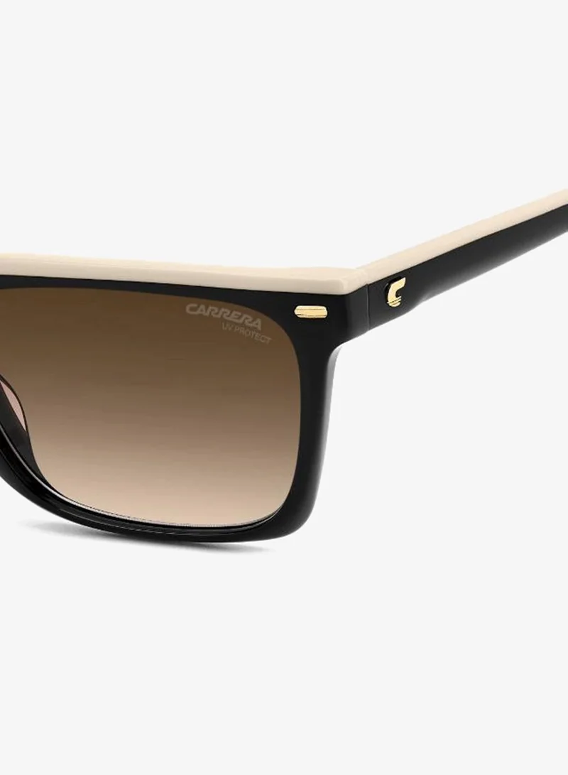 Carrera  Wayfarers Sunglasses for Women | Best Price UAE
