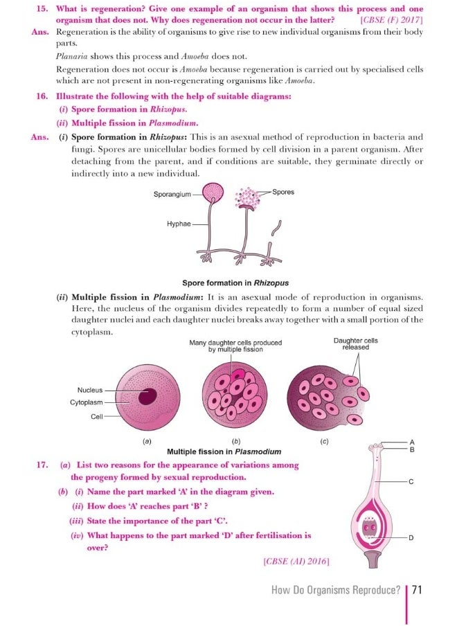 Xam idea Class 10 Science Book For CBSE Term 2 Exam (2021-2022) With New Pattern Including Basic Concepts, NCERT Questions and Practice Questions - pzsku/ZCE1CC12FA2F58D0FE69DZ/45/_/1738231326/a78fa6ff-c58a-45e6-8199-86e4489ffa38