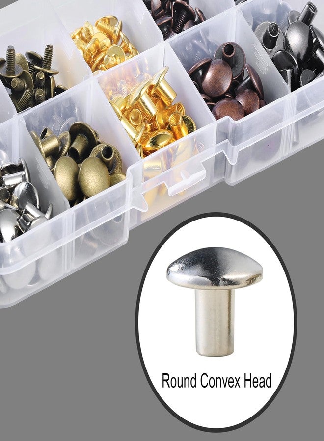 YORANYO 100Sets Chicago Screws Leather Rivets Assorted Screw Rivets Metal Studs for Clothing Chicago Binding Screws Spike and Studs for Decorate Repair Shoes Belts Bags Purse Dog Collars (10MM Head) - Image 3