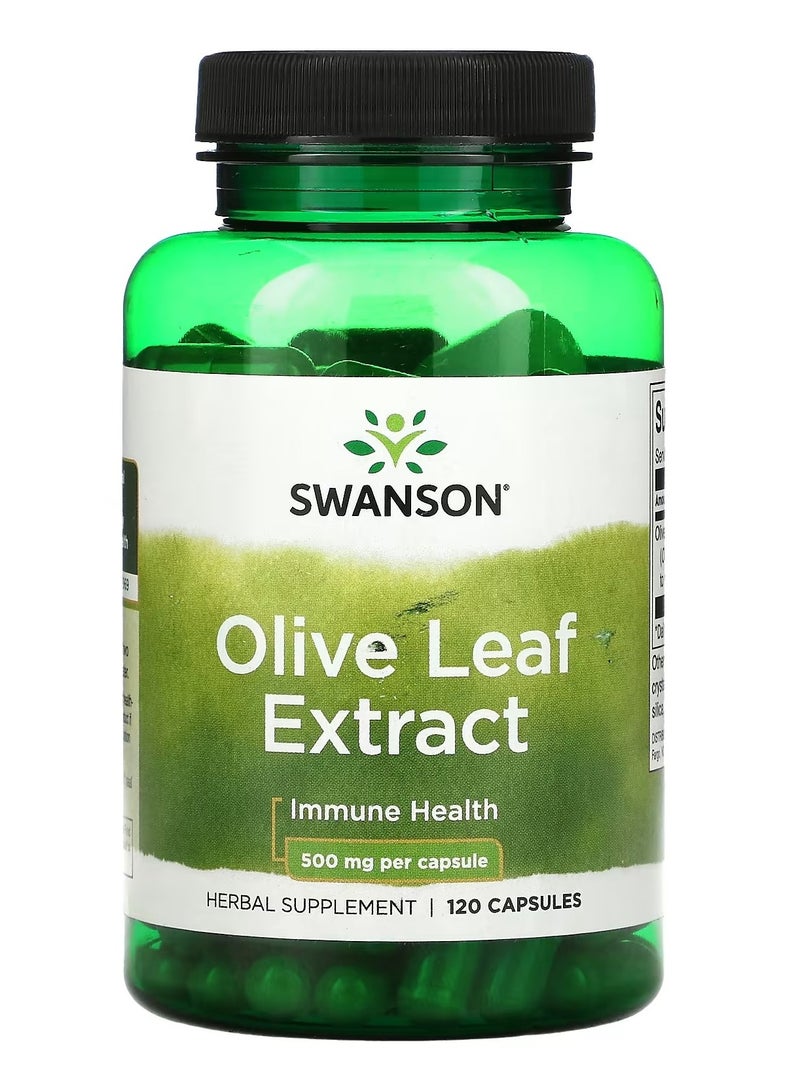 سوانسون، مستخلص أوراق الزيتون، 500 مجم، 120 كبسولة