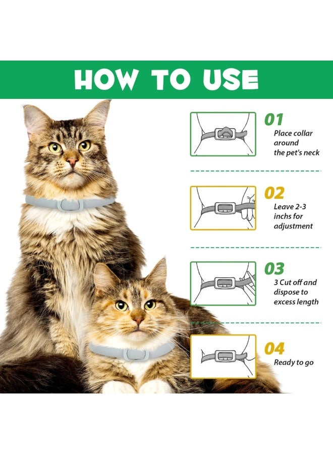 Oimmal طوق للبراغيث والقراد للقطط (4 أطواق) - Image 5