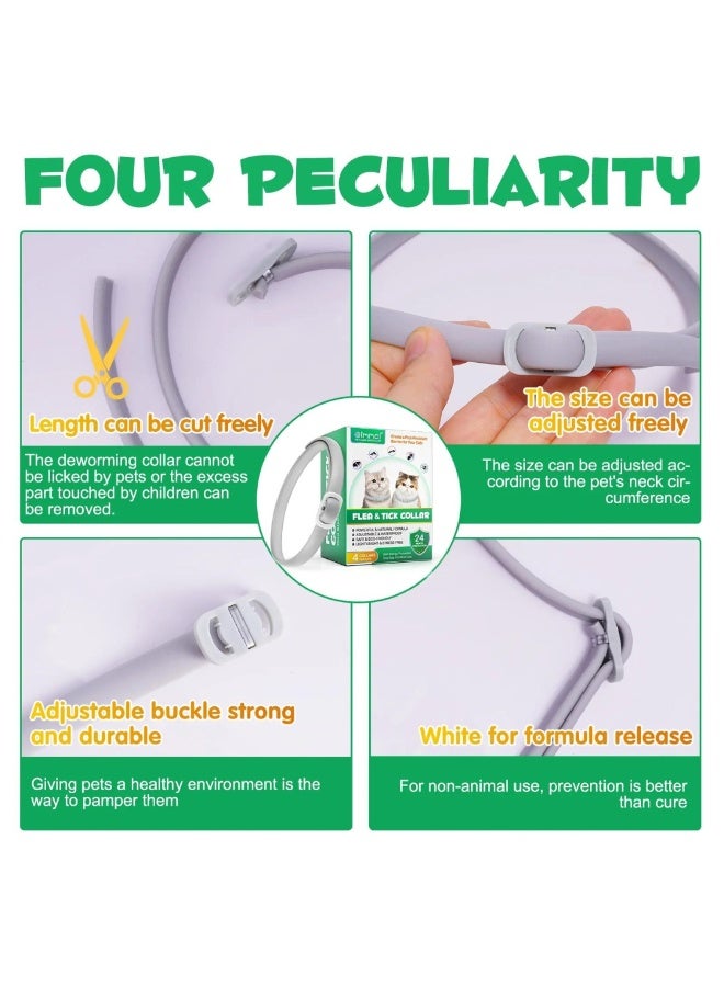 Oimmal طوق للبراغيث والقراد للقطط (4 أطواق) - Image 3