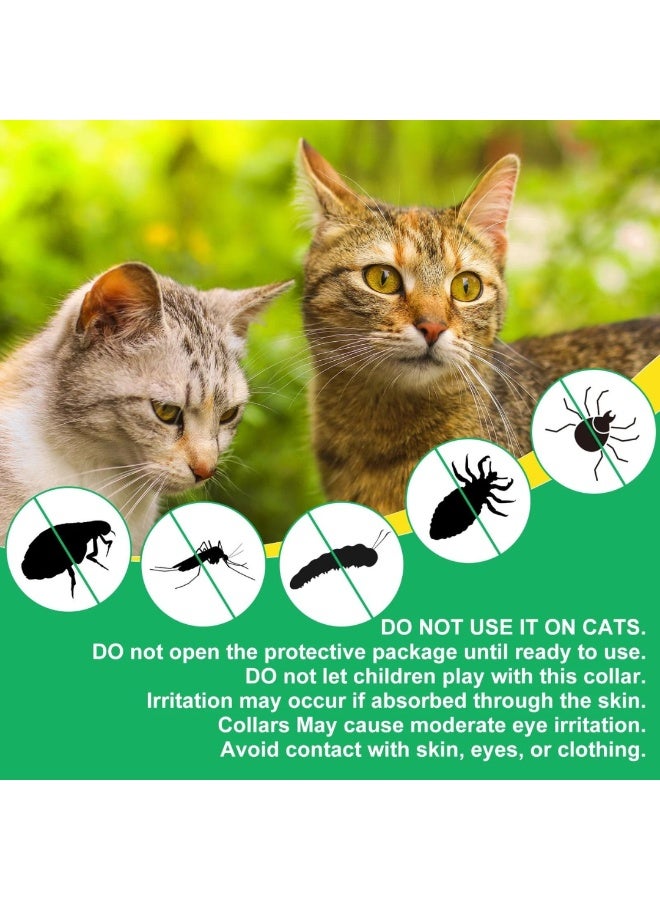 Oimmal طوق للبراغيث والقراد للقطط (4 أطواق) - Image 4