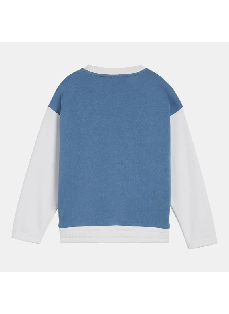PUMA Kids' Classics FC Sweatshirt