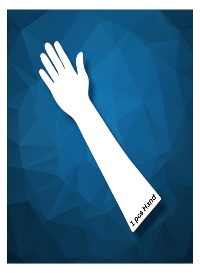 Shivraj Organics Reusable Acrylic Hand for Mehndi Practice | Acrylic Board for mehenndi practice - Image 1