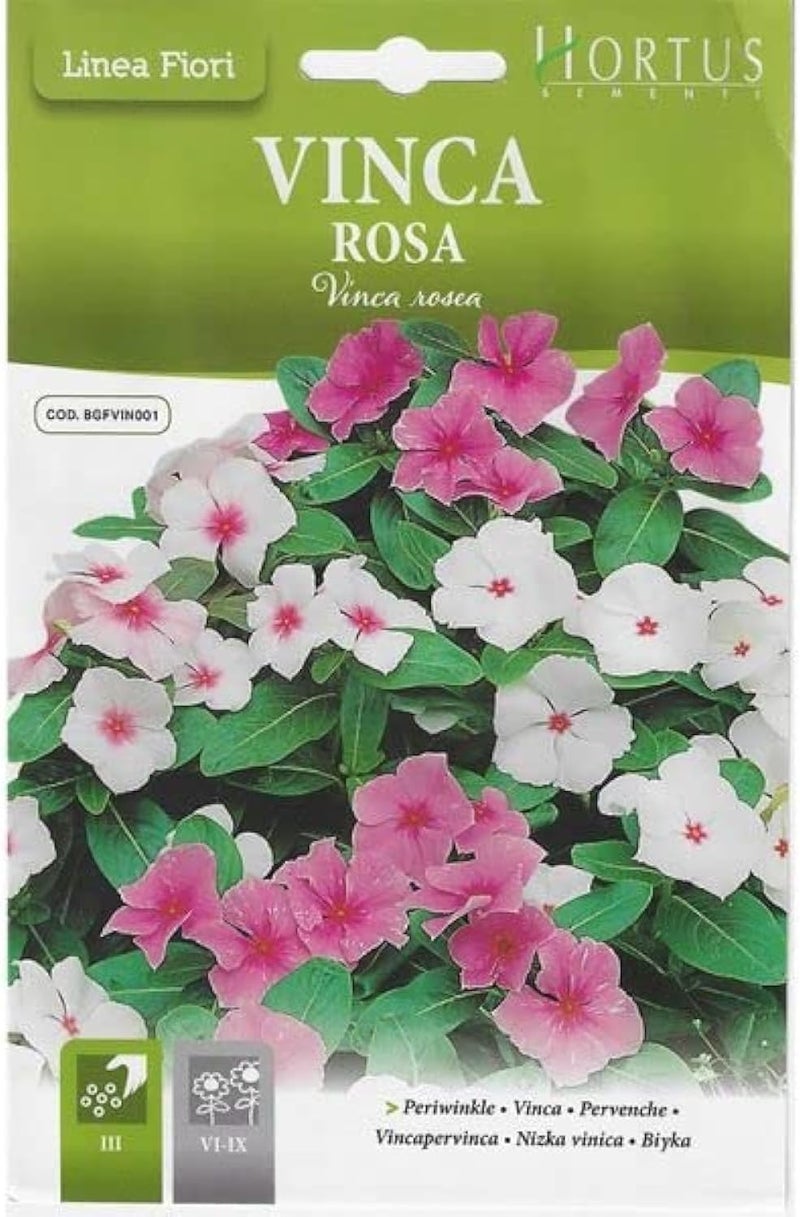 Hortus Vinca Rosa Periwinkle Mix Premium Quality Seeds - Vibrant Pink and White Flowers - Image 1