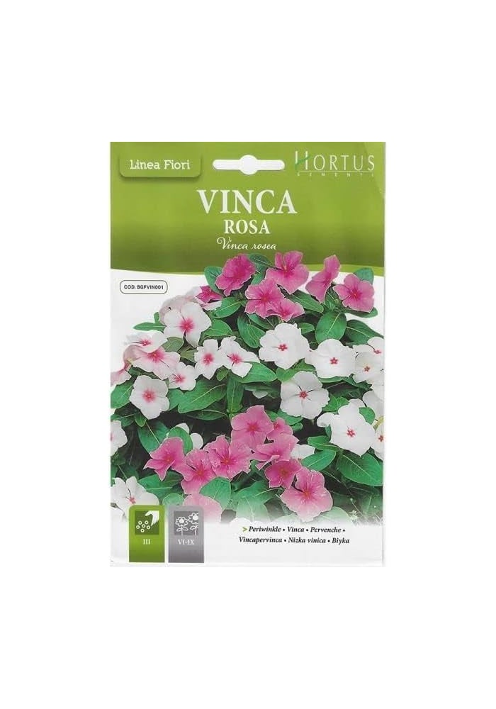 Hortus Vinca Rosa Periwinkle Mix Premium Quality Seeds - Vibrant Pink and White Flowers - Image 2