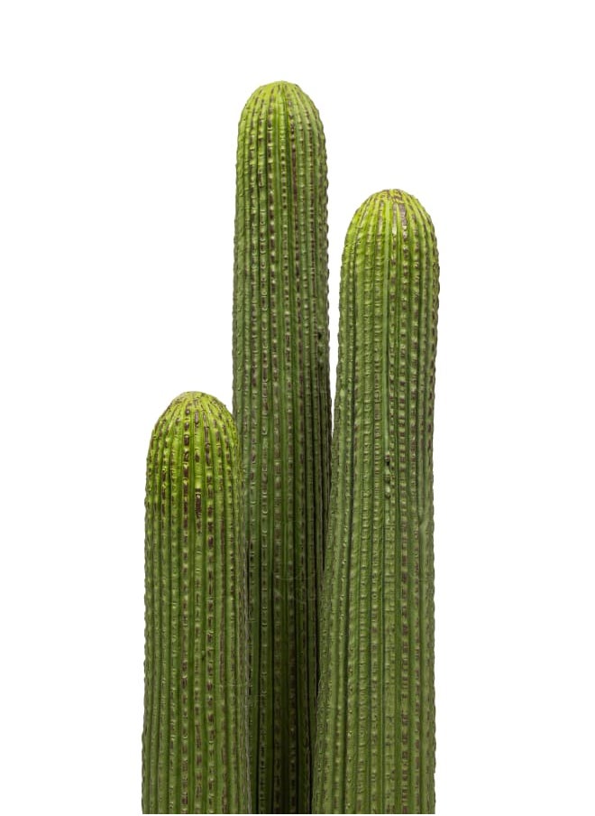 Unique Pots And Plants Cactus Artificial Plant Triple Stem H80CM  - Image 2