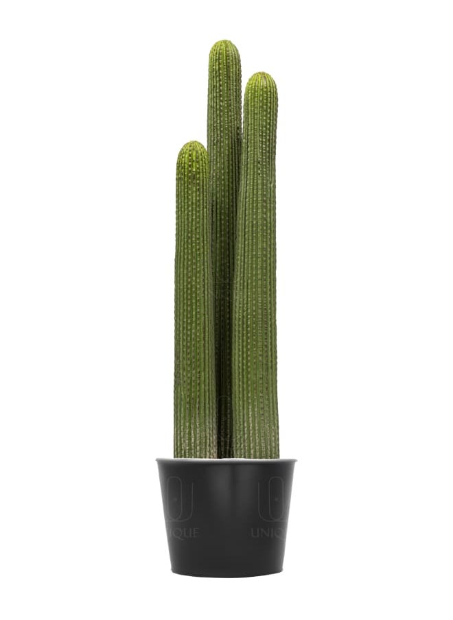 Unique Pots And Plants Cactus Artificial Plant Triple Stem H80CM  - Image 1