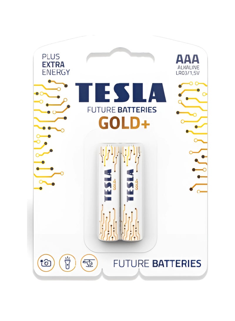 بطاريات تسلا بطاريات قلوية GOLD+ AAA 2 قطعة - بطاريات قوية لأقصى أداء، طاقة ثابتة 1.5 فولت للأجهزة عالية الاستهلاك مثل الكاميرات والميكروفونات وأدوات القياس، مع تركيبة مانعة للتسرب، وأداء طويل الأمد، وتصميم صديق للبيئة، ومناسبة للاستخدام المنزلي والمهني، طاقة موثوقة تدوم لأطول فترة ممكنة  - Image 1