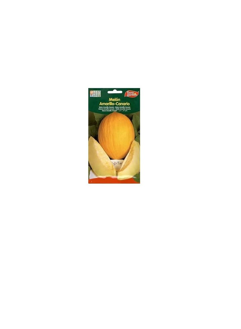 Euro EUro Garden Yellow Melon Seeds 8 G - Image 2
