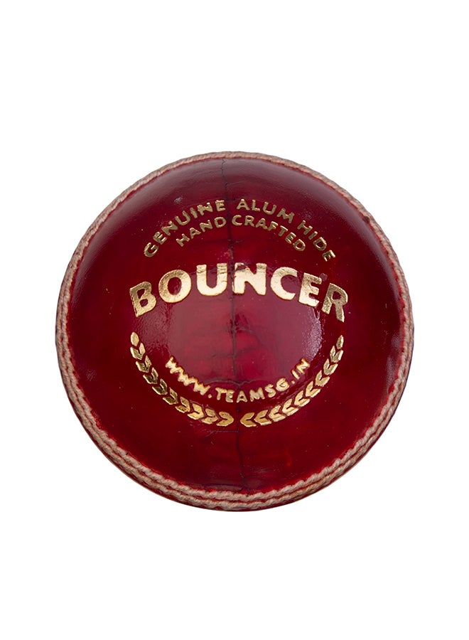 SG كرات الكريكيت المرتدة