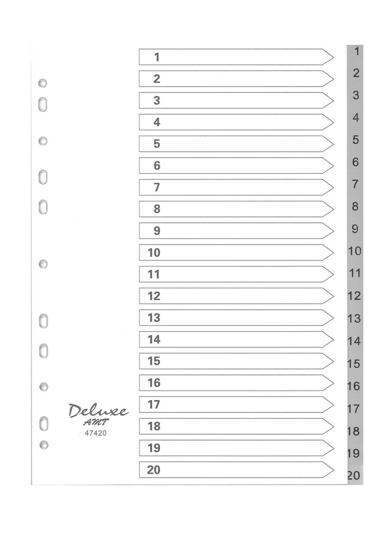 Deluxe Amt - 5-Pack 20 Tab Plastic Divider Grey - Image 1