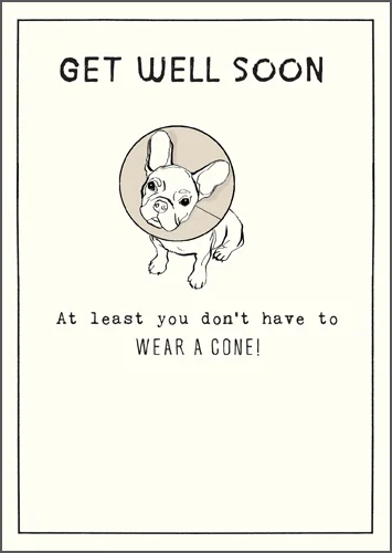 بيجمينت Pug Wear A Cone