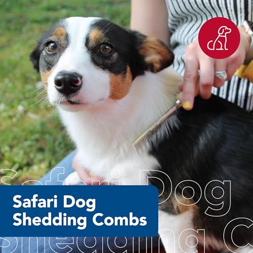 Coastal Pet Safari Dog Shedding Combs - Dog Shedding Brush for Dogs with Short and Long Hair - Different Sized Teeth for Undercoat Rake - 7" x 1.5" - Image 2
