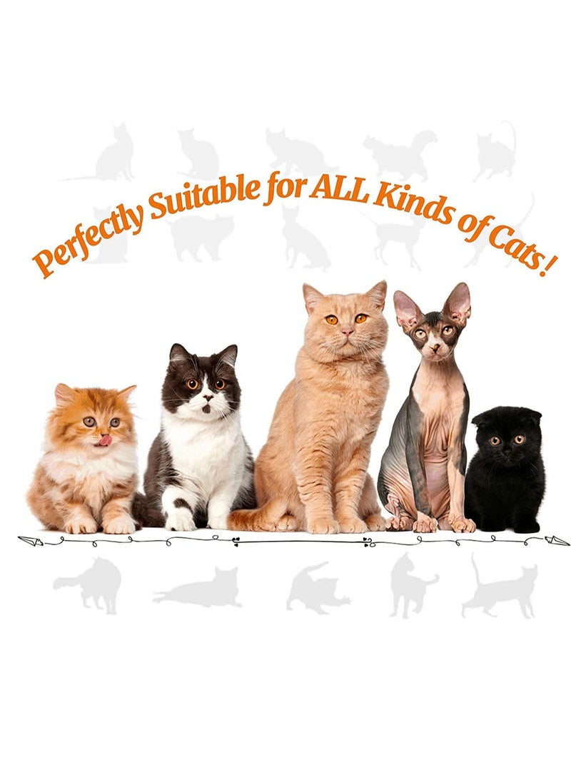 MissTiara - 30 Pcs Cat Toys,Kitten Toys,Cat Toys Interactive Accessories for Indoor Cats,Cat Tunnel,Variety Teaser Wand with Feathers,Cat Toys for Kittens Biting,Catnip Fish,Mice,Balls for Cat Pet Lovers - Image 1