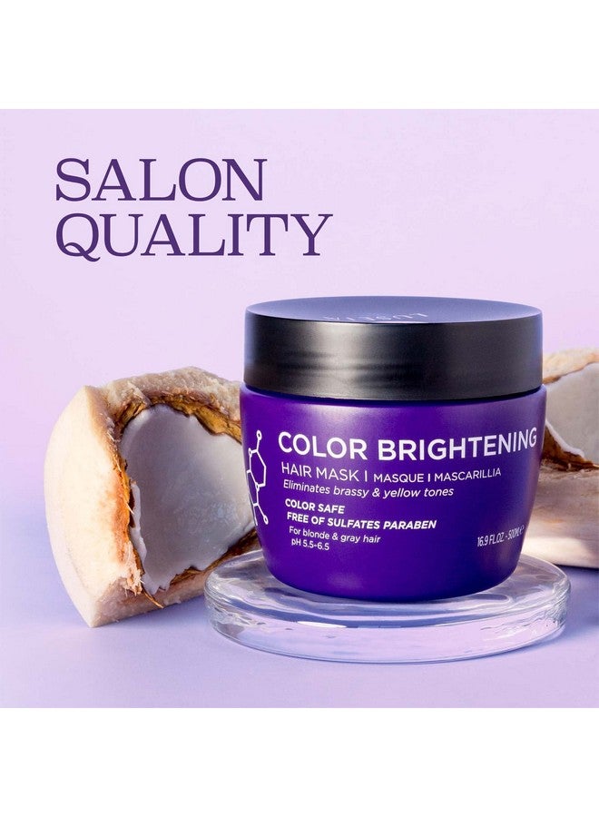 لوسيتا قناع الشعر الأرجواني من لوزيتا، 16.9 أونصة، مرطب عميق للشعر المصبوغ، يعمل على تحييد النغمات الصفراء غير المرغوب فيها ويزيل اللون النحاسي، للشعر الأشقر والرمادي، خالٍ من الكبريتات والبارابين - Image 3