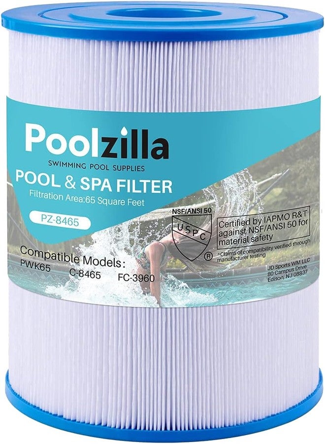 Poolzilla Replacement for Spa Filter Watkins 31114, Unicel C-8465, Pleatco PWK65, Filbur FC-3960, 71827, 71828, Watkins 65 sq.ft Tiger River Spa Filter- 1 Pack - Image 1