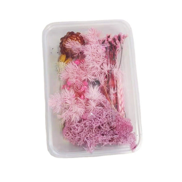 Floating Flower Dried Flower Eternal Flower Diy Drop Glue Filling Flower Material Mini Embossing Material Yunnan Dried Flower - Image 5