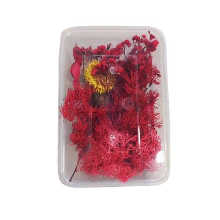 Floating Flower Dried Flower Eternal Flower Diy Drop Glue Filling Flower Material Mini Embossing Material Yunnan Dried Flower - Image 4
