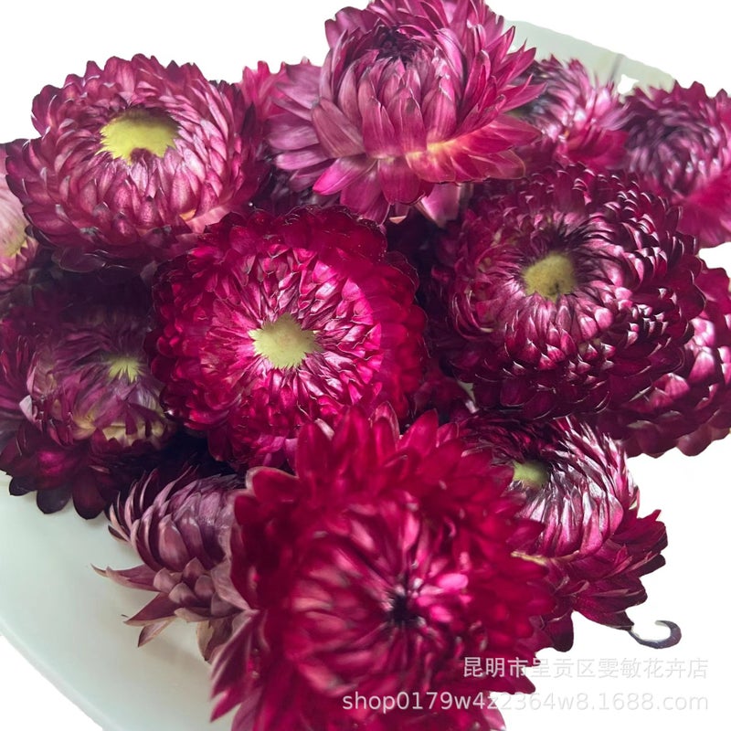 Floating Flower Dried Flower Eternal Flower Diy Drop Glue Filling Flower Material Mini Embossing Material Yunnan Dried Flower - Image 1