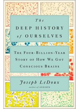 The Deep History of Ourselves