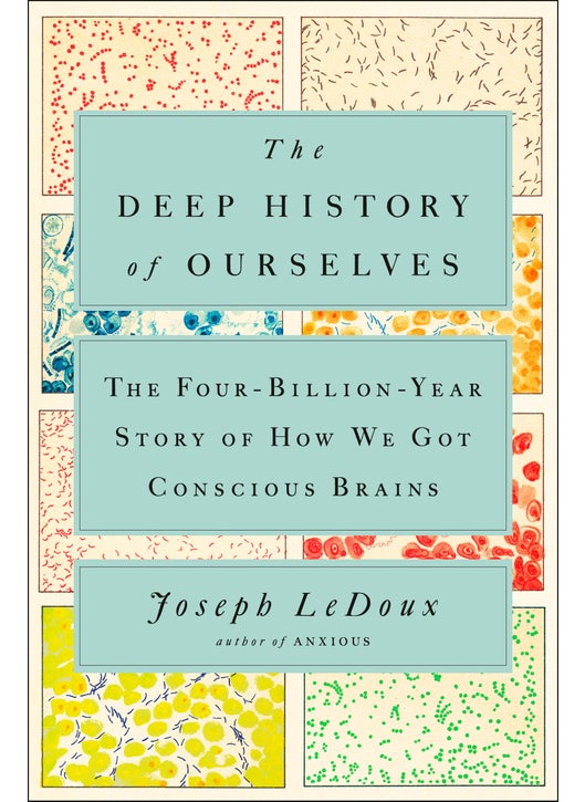 The Deep History of Ourselves