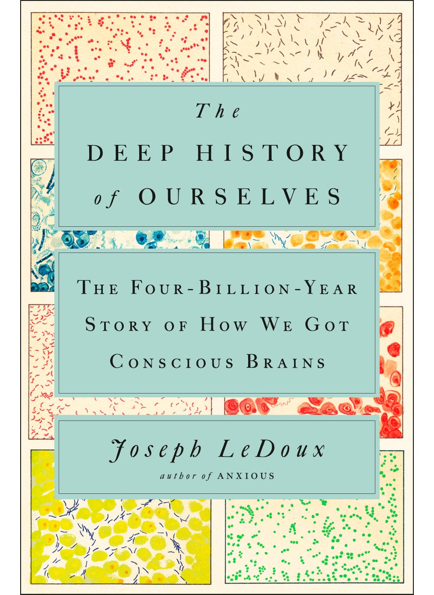 The Deep History of Ourselves 