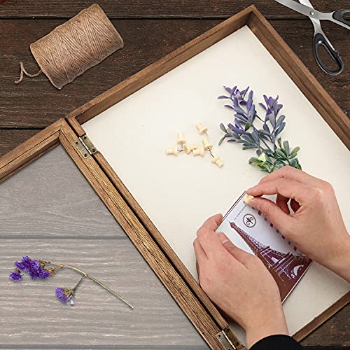 TJMOREE TJ.MOREE Shadow Box Display Case 11 x 14 Shadowbox Frame with Linen Back Memorabilia Bouquet Medals Photos Memory Box for Keepsakes - Image 3