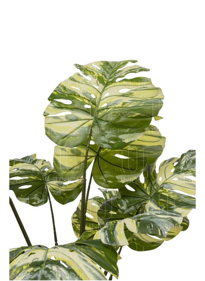 Unique Pots And Plants Monstera Multi Stem Artificial Tree Pale Leafs H155CM  - Image 2