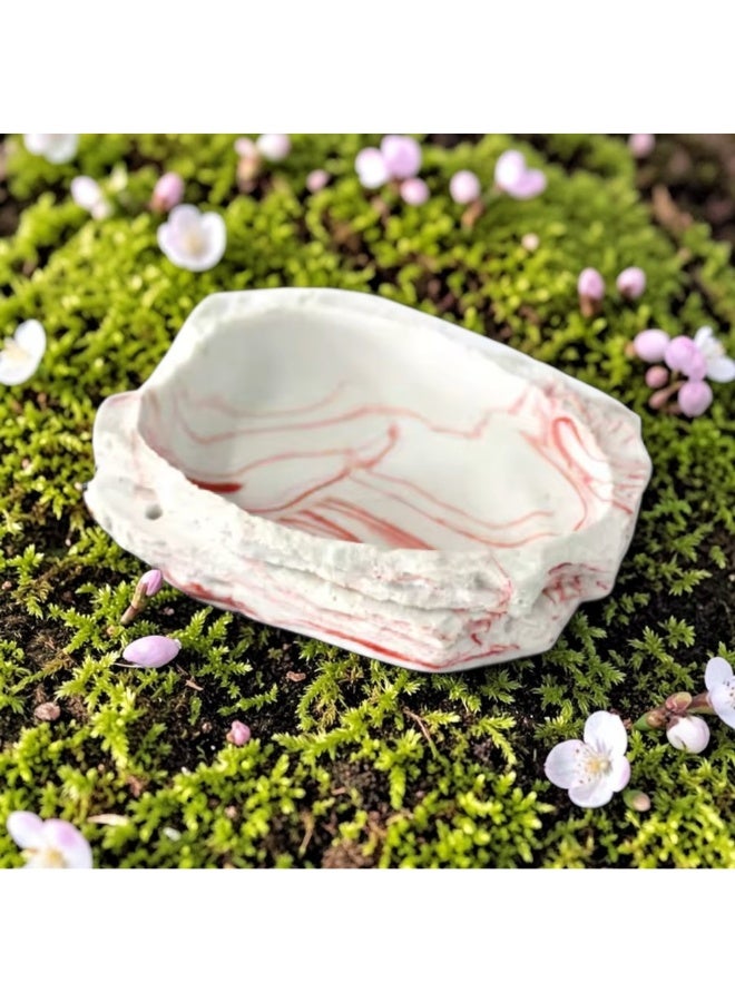 NomoyPet وعاء تغذية الزواحف من نومويبيت NS-65 - وعاء طعام وماء غير سام مصنوع من الراتنج للزواحف - Image 5