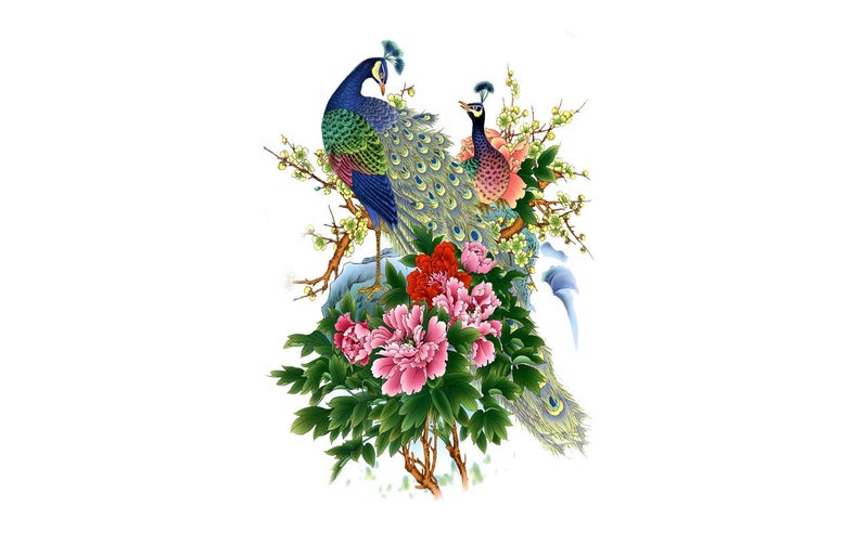 DivineDesigns Divine Designs™ PVC Vinyl Self-Adhesive Peacock & Flowers Wall Sticker for Living Room, Bedroom, Office Wall Decoration (25 X 22 INCH) Pack 1 - Image 5