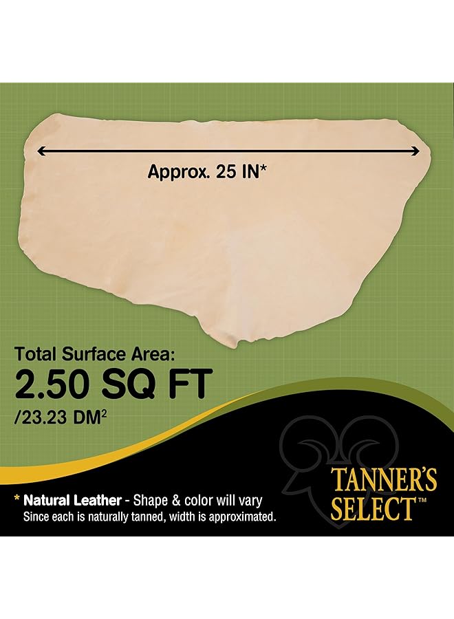 acme Sponge And Chamois Ts20T 2.5 Sq. Ft. Chamois - Image 5
