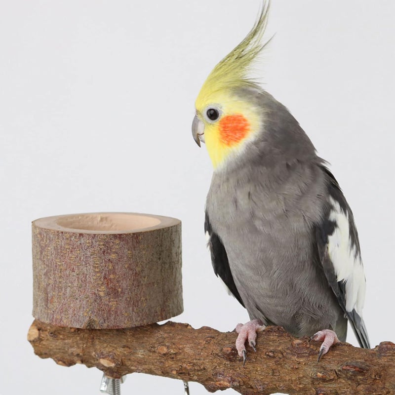 Bird Perch Stand Parakeet Toy Bird Toy Playstand Birdcage Stands with Stand Climbing Net Birdcage Standing - Image 2