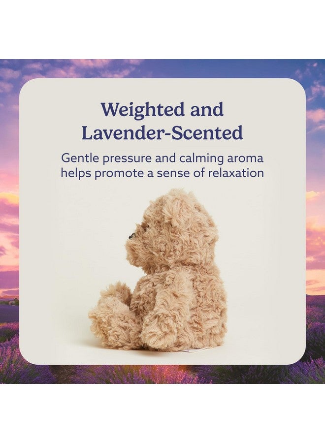 warmies Junior Microwavable & Weighted Stuffed Animals, Brown Curly Bear - Heated Stuffed Animal Plushie for Warmth & Comfort - Soft Plush Toys for Adults & Children (Boys, Girls, Babies & Toddlers) - Image 3