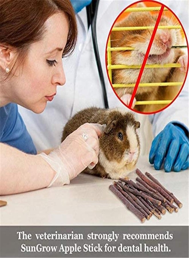 ANDES Bunny & Guinea Pig Toys - Rabbit & Hamster Accessories - Natural Timothy Biscuit Hay Sticks & Apple Wood Sticks for Teeth - Chinchilla & Rat Molar Chews - Image 4