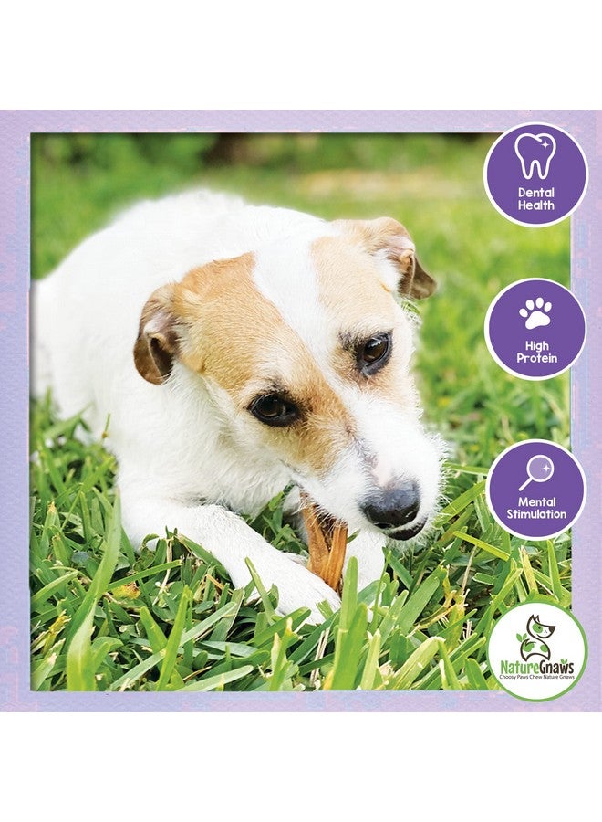 طبيعة عظام مضغ الكلاب المضفرة من بولي تويست 5-6 بوصات (3 قطع) - تدوم طويلاً للكلاب الصغيرة والمتوسطة الحجم - عظام مضغ الكلاب من لحم البقر الطبيعي - Image 3